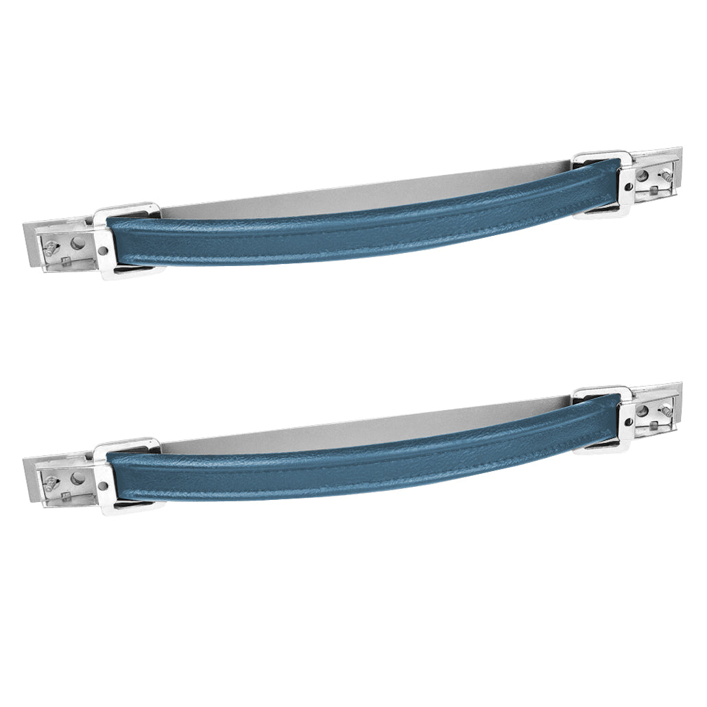 74 FIREBIRD/TRANS AM "DELUXE" DOOR PULL HANDLES - BLUE