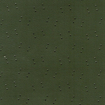 68 FURY III/SPORT FURY FAST-TOP HEADLINER (FINE PEMBROOK PERFORATED) - GREEN