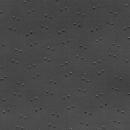 70-71 CHALLENGER HARDTOP '5-BOW' HEADLINER (FINE PEMBROOK PERFORATED) - BLACK