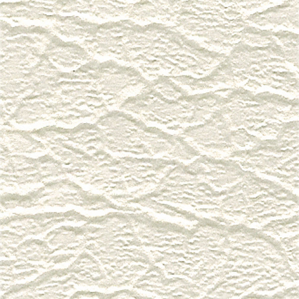 70 CHARGER W/ SUNROOF VINYL TOP (BOAR GRAIN) - WHITE