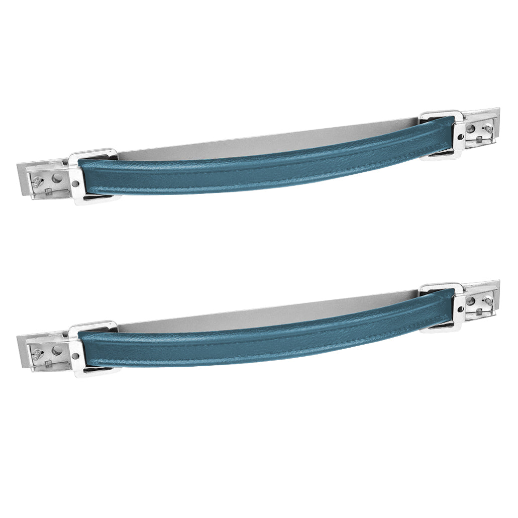 75-76 FIREBIRD/TRANS AM "DELUXE" DOOR PULL HANDLES - SRM BLUE