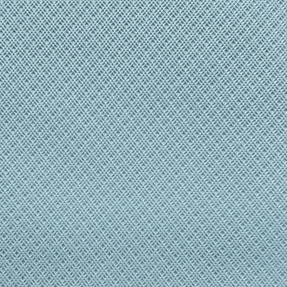 65 SKYLARK/GS SPORT COUPE SUNVISORS (TIER) - POWDER BLUE