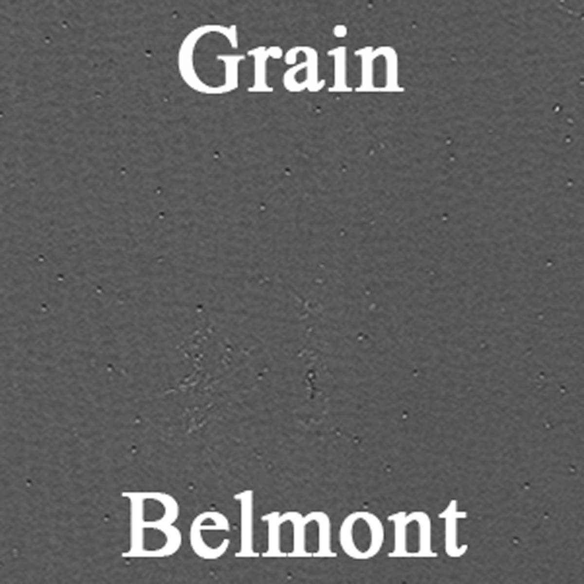 71 CHARGER SE CENTER ARMREST COVER (BELMONT GRAIN) - EMBER GOLD