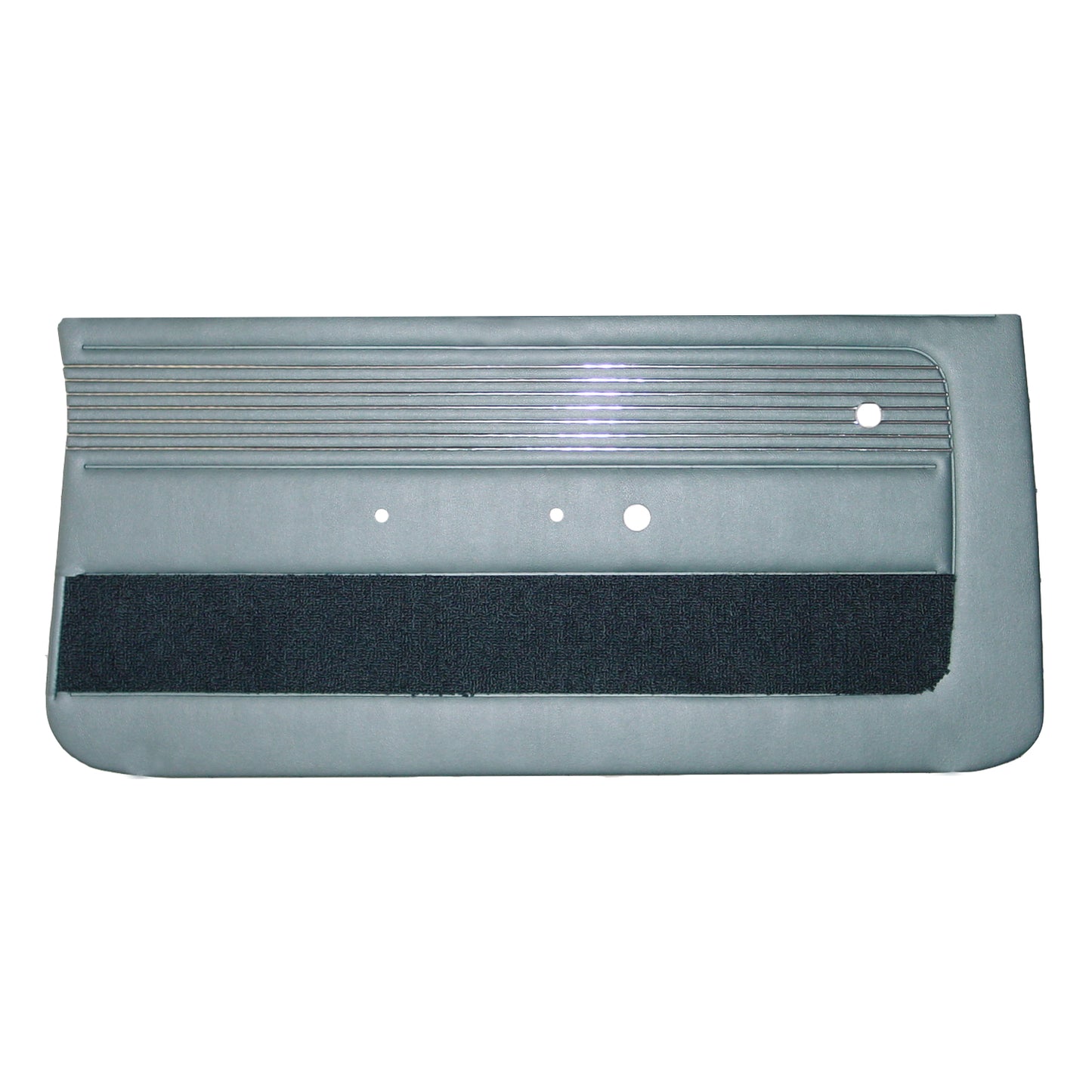 66 SKYLARK/GS FRONT DOOR PANELS - BLUE